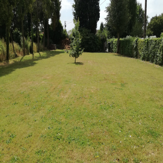 Offres de vente Terrain Ruisseauville (62310)