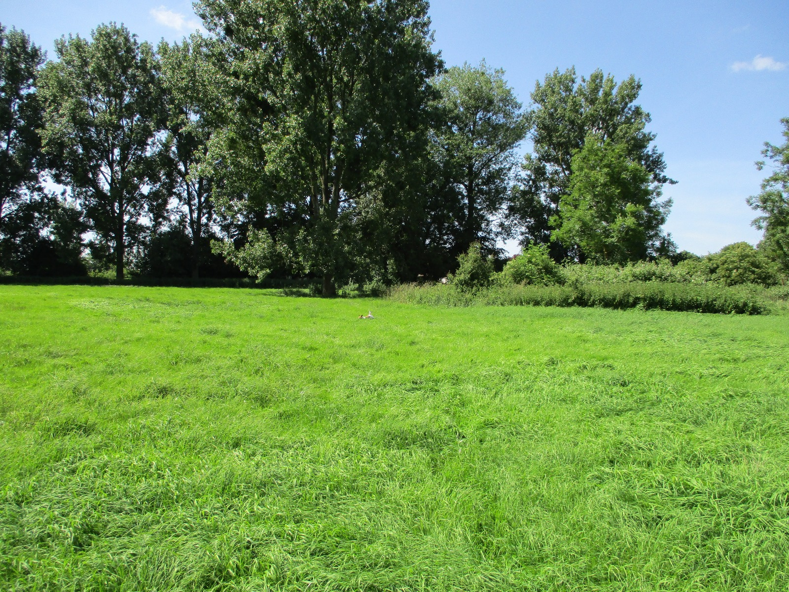 Comment Obtenir Le Plu D Un Terrain vente 1984 Terrain de plus d'un hectare