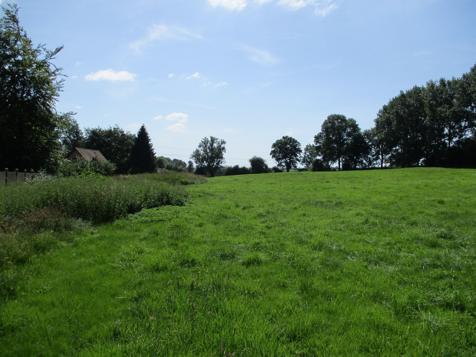 Comment Obtenir Le Plu D Un Terrain vente 1984 Terrain de plus d'un hectare