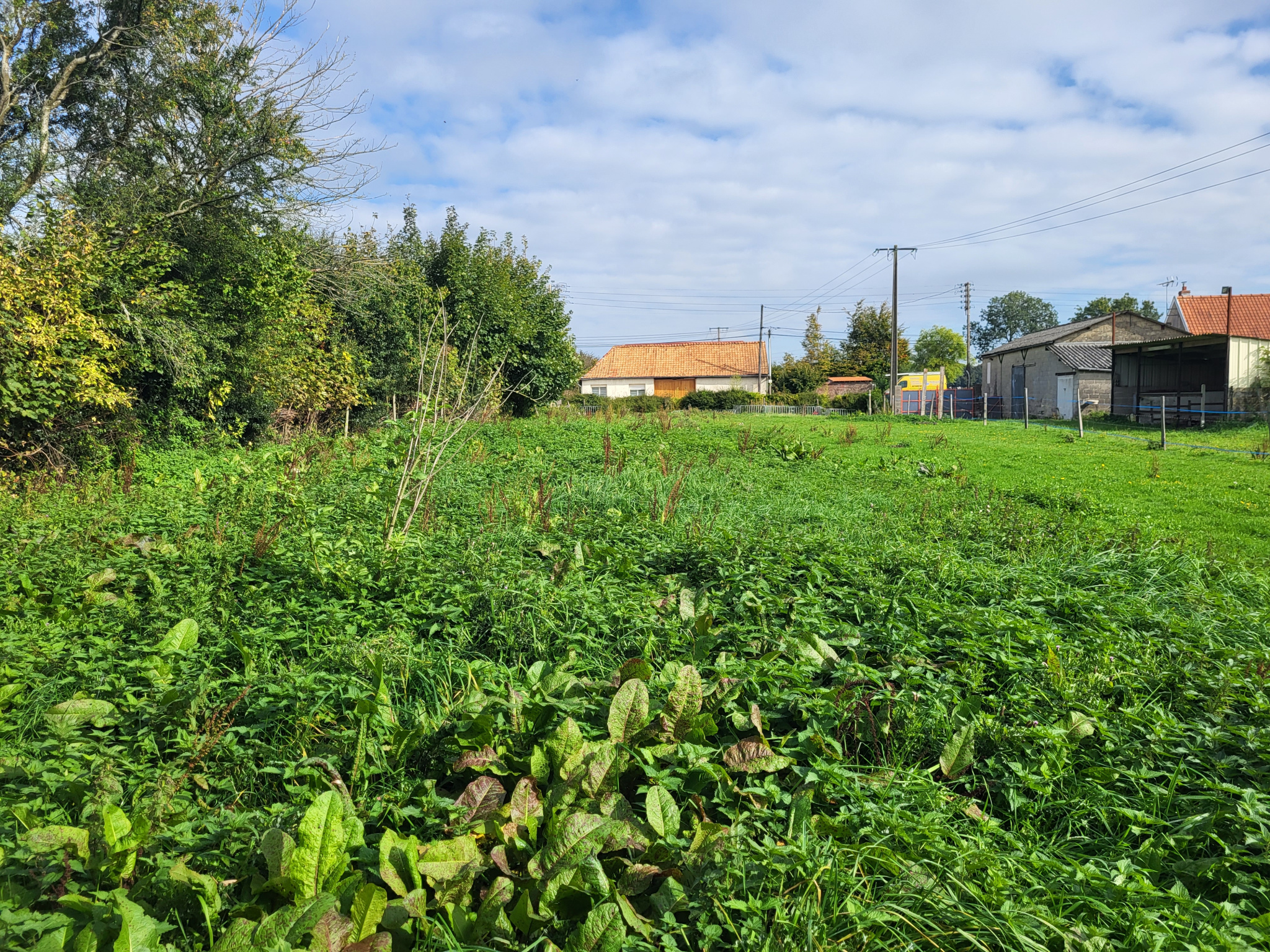 Agence immobilière de HDF IMMOBILIER